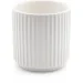MVM -   DH-FLOWERS-24 S WHITE 11  