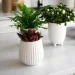 MVM -   DH-FLOWERS-25 M WHITE 16,5  