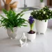 MVM -  DH-FLOWERS-26 M WHITE 10,5  
