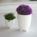 MVM -   DH-FLOWERS-26 S WHITE 9  