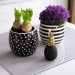 MVM -   DH-FLOWERS-27 WHITE/BLACK 13  -