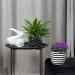 MVM -   DH-FLOWERS-27 WHITE/BLACK 13  -