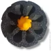 Myriwell    3D