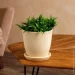 Nana Ceramics         0,5  (482)