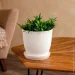 Nana Ceramics         0,5  (482)