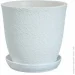 Nana Ceramics         1  (482)