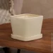 Nana Ceramics         1  (482)