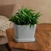  Nana Ceramics     1  (482)