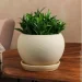 Nana Ceramics         2,5 