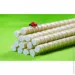Nano-Sk   10  x 2  (1 ) (7070729)