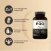   Naturebell  -   ,    PQQ 40mg 240  (4384307317)