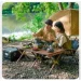    Naturehike   (, , ) CNK2450CF010,  (6976507663304)