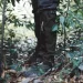 Naturehike    CNK2450DS011,  L,  (6975641889724)