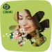   Naturella   Camomile Normal 100 .
