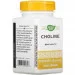 ³ Nature`S Way Choline 100  (4384304660)