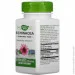 Специальная добавка Nature`S Way Echinacea 100 капсул (4384304682) Специальная добавка Nature`S Way Echinacea 100 капсул (4384304682)