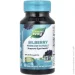   Nature`S Way   Nature's Way Bilberry Premium Extract, 90 