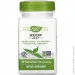  Nature`S Way   Nature"s Way Neem Leaf, 100 