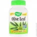   Nature`S Way Olive Leaf 100 Caps (000002584)