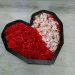      Raffaello  ,    ,   , 
