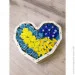      Ritter Sport        , , 