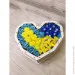      Ritter Sport        , , 