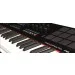 MIDI  Nektar Panorama P6
