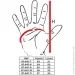NEO TOOLS     XL (10) 97-647-10