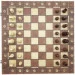   Newt  ", ,  3  1" Set1 NE-LG-11