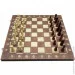   Newt  ", ,  3  1" Set1 NE-LG-11
