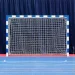 Newt   -() BallNet NE-CM-44