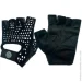   Newt       Gym SP NE-LG-42-L