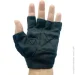   Newt       Gym SP NE-LG-42-S