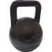  Newt NE-100-1600