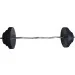  Newt NE-KW-120-040