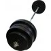  Newt NE-PL-180-088