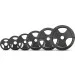 Newt TI-NE0200-2200