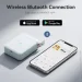      Niimbot D110_M Blue