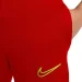   Nike Academy 21 (CW6124-687-140 )
