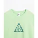   Nike ACG Dri-FIT (FQ3740-376-XL)