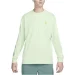  Nike ACG Men's Dri-FIT (FV3488-376-XL)