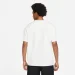   Nike ACG Tee (DJ3642-121-L)