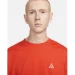   Nike Acg T-Shirt (DJ3642-809-M)