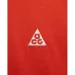   Nike Acg T-Shirt (DJ3642-809-M)
