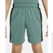  Nike Air (HF5522-361-L)