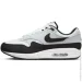  Nike AIR MAX 1 .45 (FD9082-107-45)