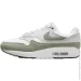  Nike Air Max 1 Shoes Grey/Olive (DZ2628-112-41)