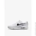  Nike AIR MAX 90 (DH8010-101-39)