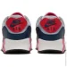  Nike Air Max 90 (DM0029-005-42)