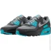  Nike AIR MAX 90 (DM0029-013-43)